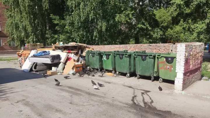 В Новосибирской области пересчитают нормативы по выбросу мусора