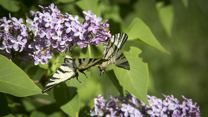 Зимний сезон закрывается: Москва готовится к встрече весны