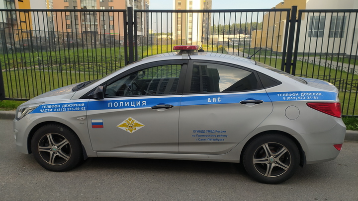 Молодая мать в Москве искусала ребенка на детской площадке