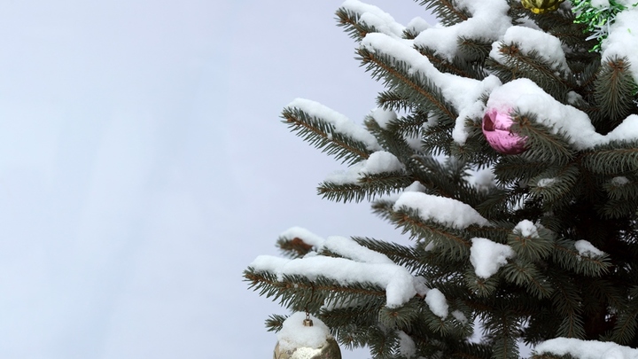 Новогодняя сказка дома: декор за 15 минут - пошаговая инструкция