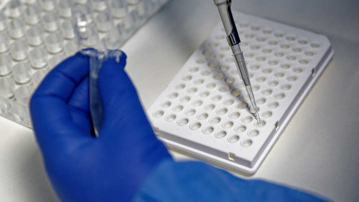 Русофобия русофобией, но: Американцам придётся признаться в создании вирусов на Украине - эксперт