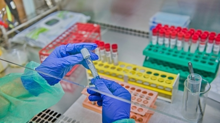 Дипломаты двумя неопровержимыми фактами обнулили усилия США оболгать Россию