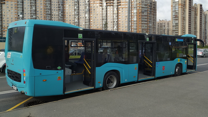 В Самаре земляные черви вновь вышли на охоту