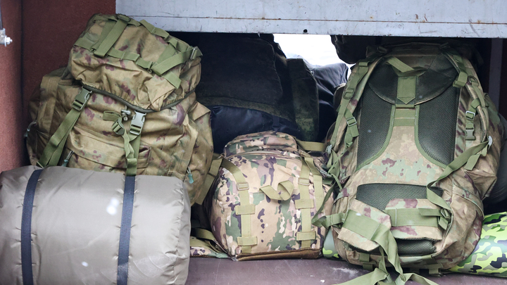 Бойцов ZOV хотят освободить от уголовной ответственности. Но не всех