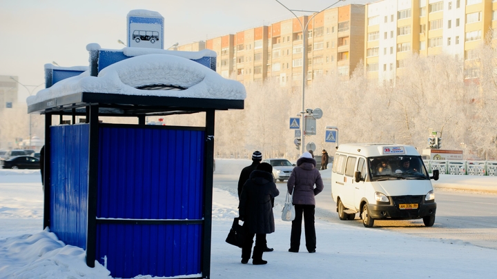 Мэр Саратова потребовал разобраться с грубым водителем маршрутки