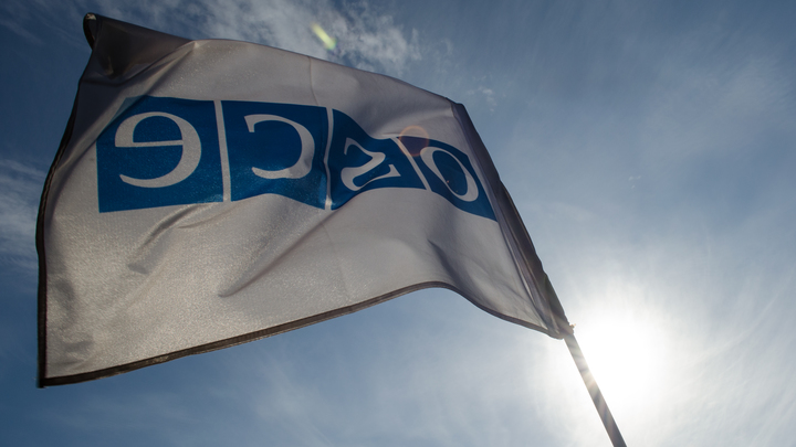 Госизмена: Сотрудник ОБСЕ в ЛНР признался в работе на спецслужбы Запада