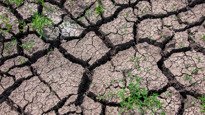 Погода такая, что мемы стали былью: Опасная жара добралась до Чёрного моря