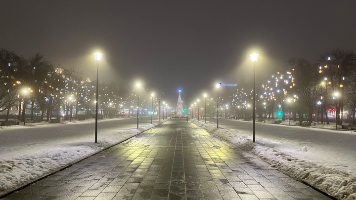 Горьковская ёлка собрала 225 тысяч посетителей