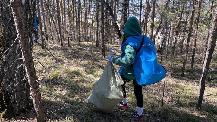 Жители Новосибирска убрали 4 тонны мусора с пляжа в Академгородке