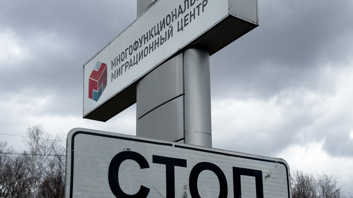 Правительство Подмосковья предложило запретить мигрантам привозить в Россию своих детей