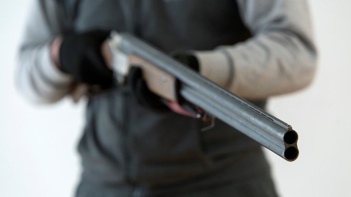 В Ивановской области объявили поиски свидетелей расстрела овчарки и дворняжки