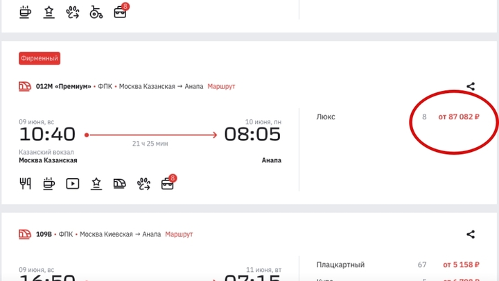 Цена вопроса — 87 тысяч рублей. С туристов просят баснословные деньги за проезд в Ласточке из Москвы до Анапы