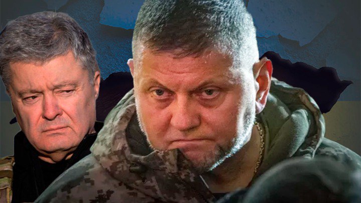 У Порошенко получилось?: Кто на самом деле отправил Залужного в отставку
