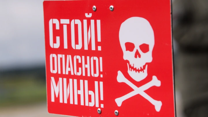 ВСУ начали маскировать мины под грибы, бытовые предметы и ICOS