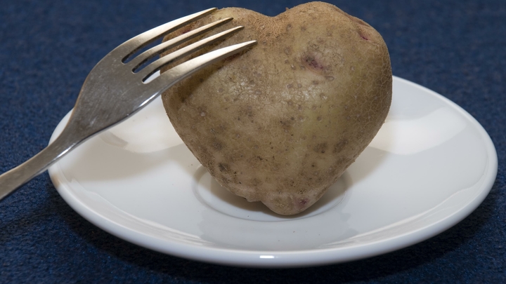 Голод затронет до 100 миллионов человек: немецкие эксперты спрогнозировали продовольственный кризис