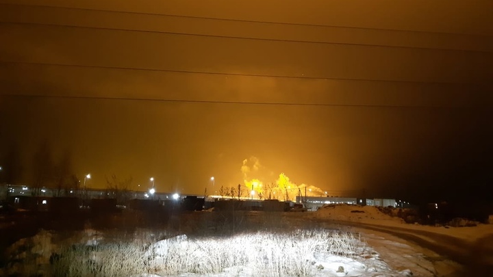 Нижегородская прокуратура не нашла нарушений в работе теплиц на Бору