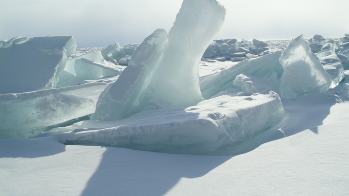 Резкое потепление в Антарктиде. Чего боятся учёные?