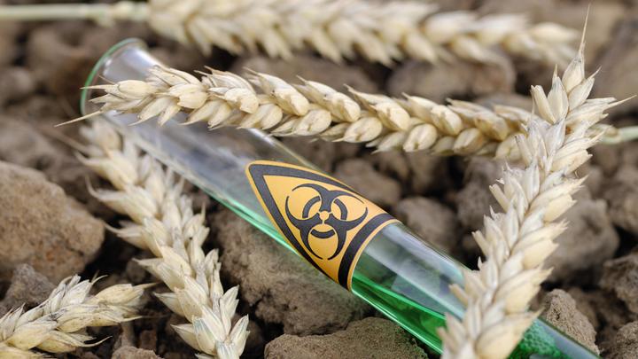 Учёный призвал создать международную коалицию против биоугрозы Запада. Украина открыла глаза