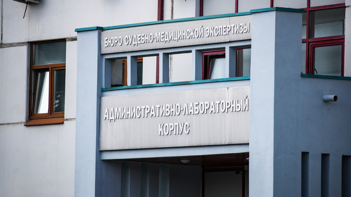 Найденный в доме отравившейся семьи труп котенка отправят на судебную экспертизу