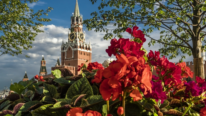 Толку от них не получилось: Мэр Москвы дал совет городским чиновникам
