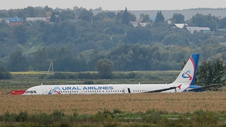 Герои дня: стали известны имена пилотов, посадивших самолёт с отказавшей гидросистемой