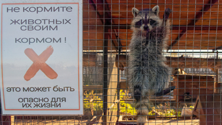 Новосибирский зоопарк перешёл на зимний режим работы