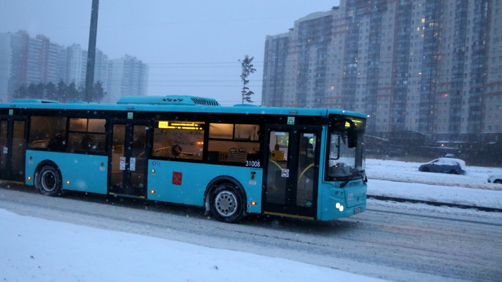 В Новый год автобусы в Подмосковье будут работать до трёх ночи