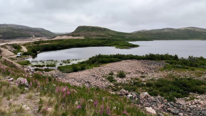 Кинбурнский заповедник убивают белым фосфором: что за парк уничтожают ВСУ