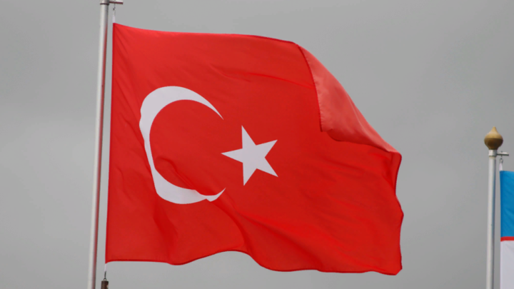 Альтернативы нет: Турция не верит в продолжение зерновой сделки без России