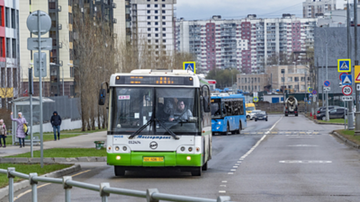 Жители Читы смогут бесплатно ездить на некоторых автобусах 20 июля