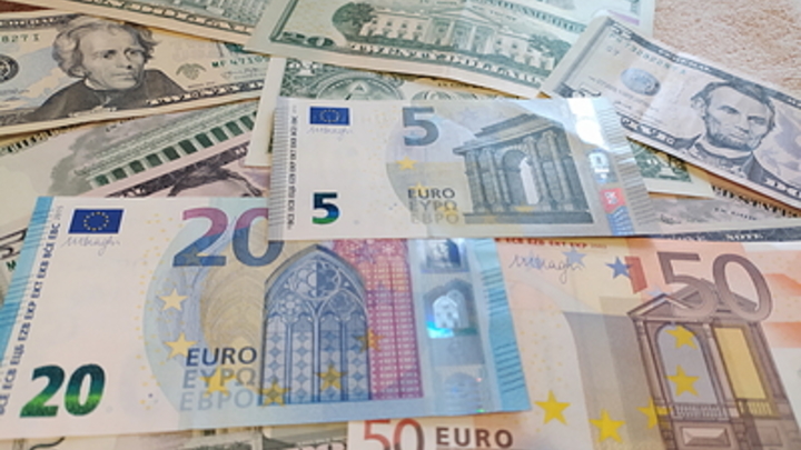 Русские пожаловались на финских таможенников, самовольно изымающих евро из-за санкций ЕС