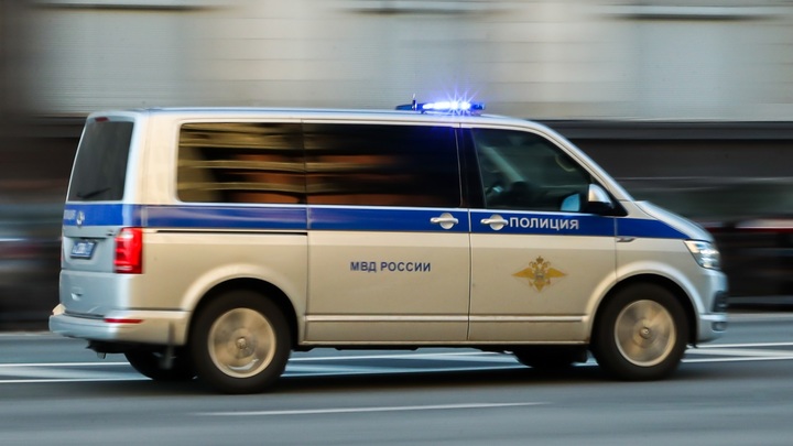 В Новой Москве четвероклассника изнасиловал другой школьник и снял это на видео