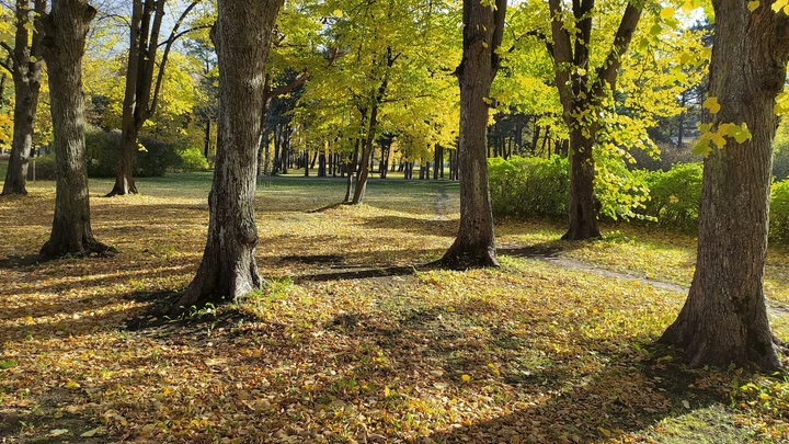 Стало известно, сколько простоит тепло в октябре в Свердловской области