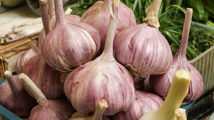 Врач Мясников назвал продукт, защищающий от онкологии
