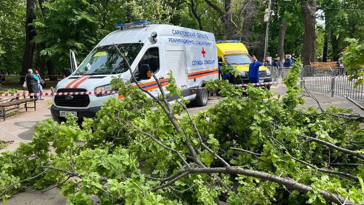 Женщину с 9-летним ребенком насмерть придавило деревом в городском парке Саратова