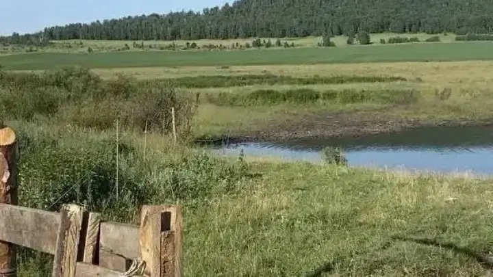 Девочку ударило током от «электропастуха» в Челябинской области