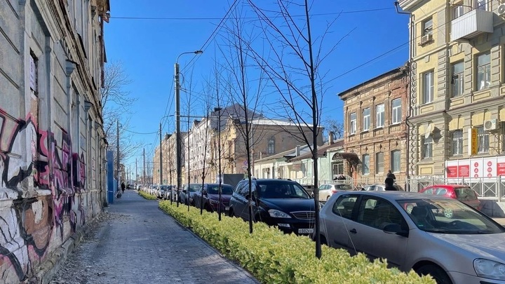 Администрация переложила заботы по озеленению улицы Станиславского на ростовчан