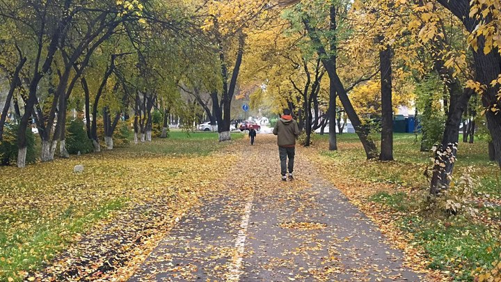 Порывистый ветер и дожди ожидаются в воскресенье в Кузбассе