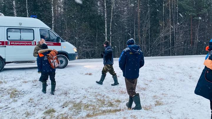 Собаки нашли тело. В Шенкурске завершились поиск пропавшего в лесу мужчины