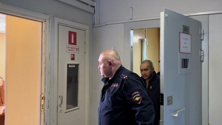 В Новосибирске избрали меру пресечения обвиняемому в изнасиловании двух девочек