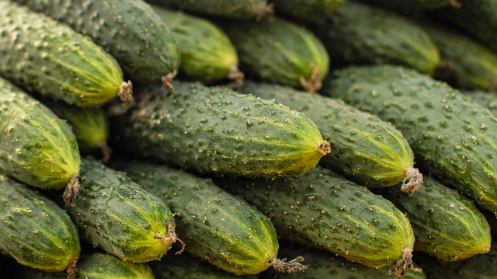 Цены на огурцы взлетели на 111%. Обогнали по стоимости мясо и тропические фрукты. Теперь - овощ для элит?