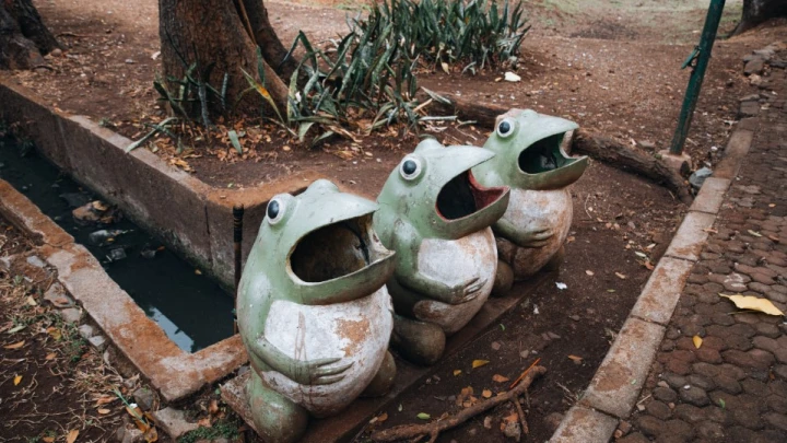 Русской учёной грозит до 30 лет американской тюрьмы: Петрову обвинили в контрабанде