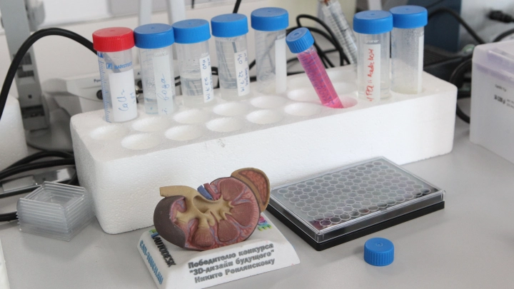 Какие анализы сдать для проверки иммунитета: памятка от врача