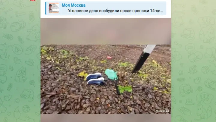 Поиск пропавшего в Подмосковье подростка-зацепера прекращен