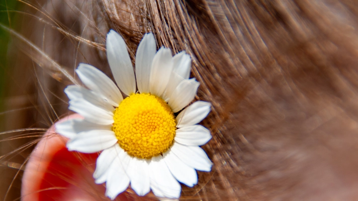 Врач Овчарова объяснила, симптомами чего являются прыщи на голове