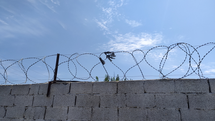 Так был ли гав? В деле об убийстве в Новой Москве появился киллер