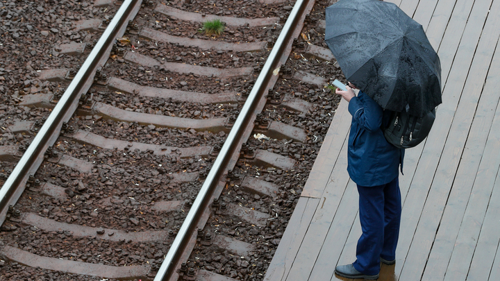 Щенков затолкали в мешок и привязали к поезду: Жизнь собак спас обычный школьник