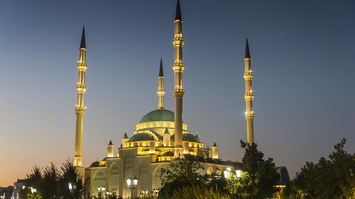 Оставьте нас в покое: Беглянка из Чечни обратилась к псевдозащитникам