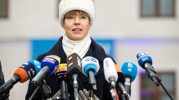 Саакашвили тоже в НАТО верил: Сатановский напомнил историю президенту Эстонии