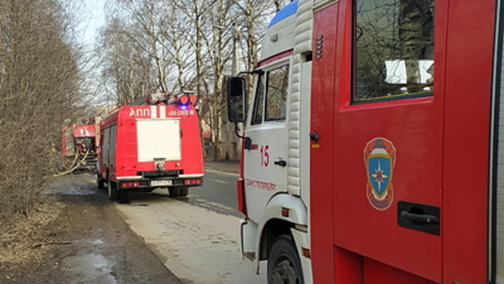 В пожаре со взрывом в челябинском СНТ погибла женщина